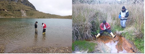 Mediciones en Fuentes Termales del Complejo Chiles-Cerro Negro