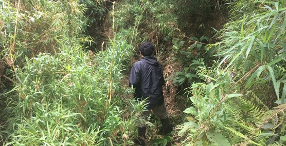 Mediciones en Fuentes Termales del Complejo Chiles-Cerro Negro