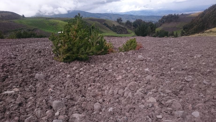 Inspección y calibración de las simulaciones numéricas de flujos de lodo y escombros producidos en la quebrada Yambo Rumi, zona suroriental del volcán Chimborazo