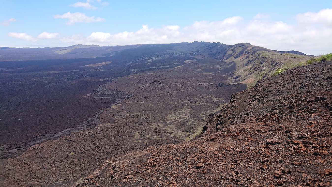 Campaña de gravimetría, muestreo geoquímico y trabajos geológicos asociados al reciente proceso eruptivo del volcán Sierra Negra