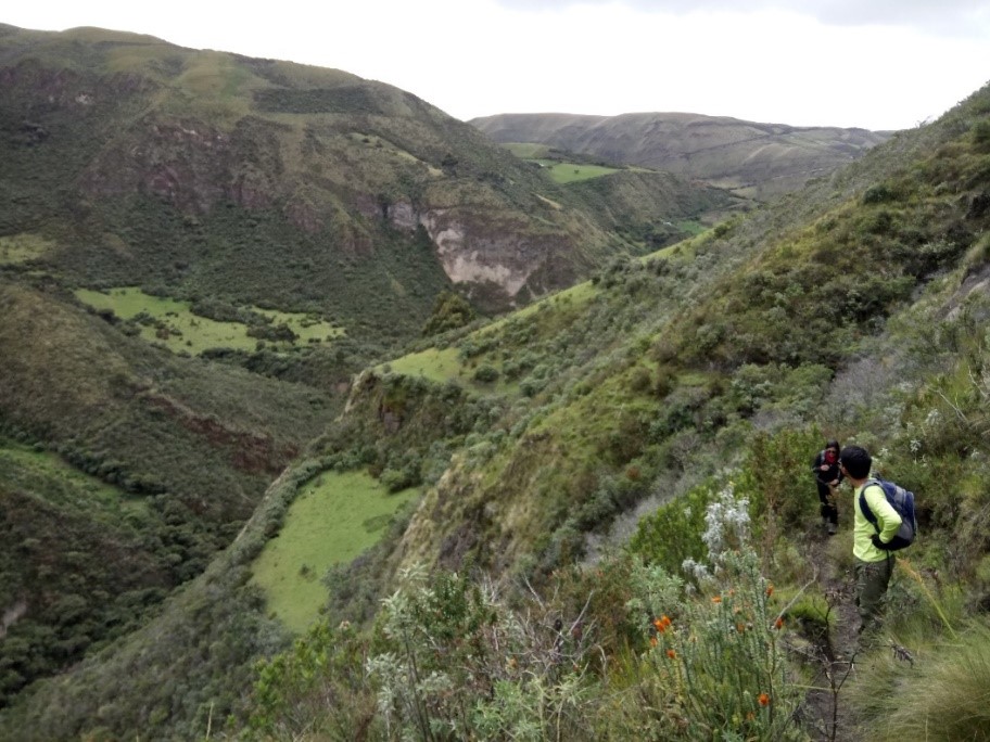 Monitoreo de fuentes termales en el Volcán Cayambe