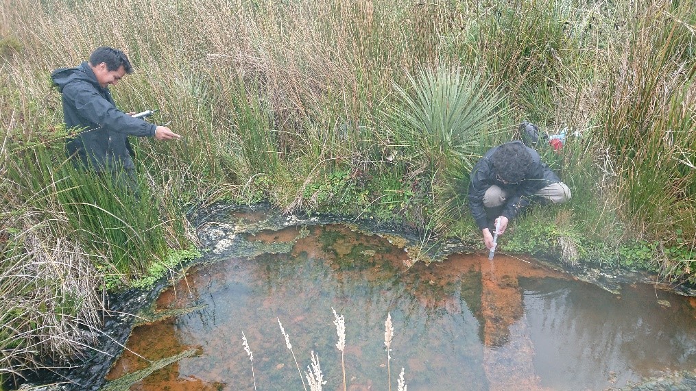 Monitoreo de Fuentes Termales en el Complejo Volcánico Chiles - Cerro Negro