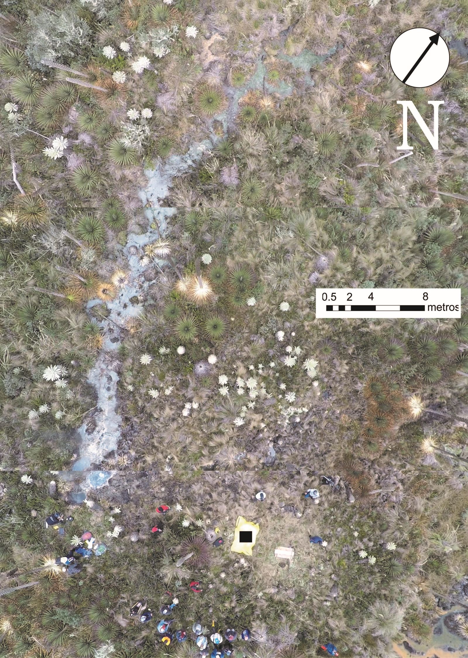 Informe de visita a las fuentes termales y campos fumarólicos asociados al Complejo Volcánico Chiles - Cerro Negro