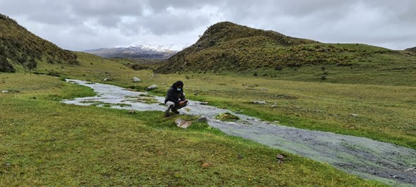 Campaña de vigilancia de fluídos en fuentes termales en los volcanes Cotopaxi y Guagua Pichincha