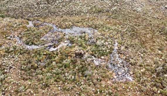 Trabajos de monitoreo de la actividad superficial del complejo volcánico Chiles - Cerro Negro