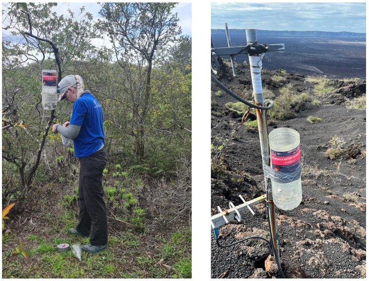 Campaña de gravimetría asociada al reciente proceso eruptivo del volcán Sierra Negra