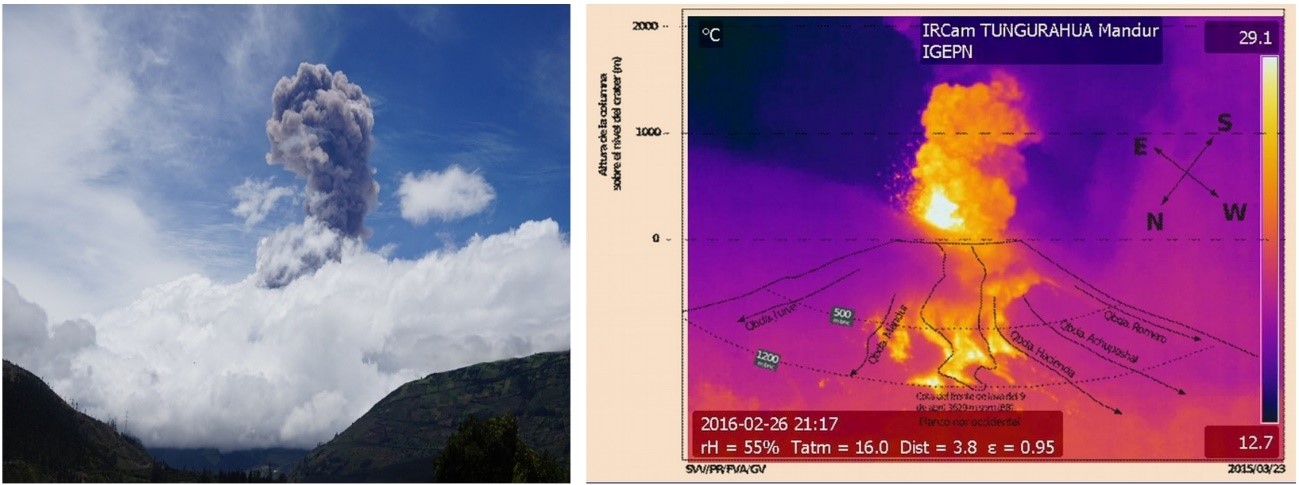 Fallece “El Negro”, la Mascota del Observatorio del Tungurahua