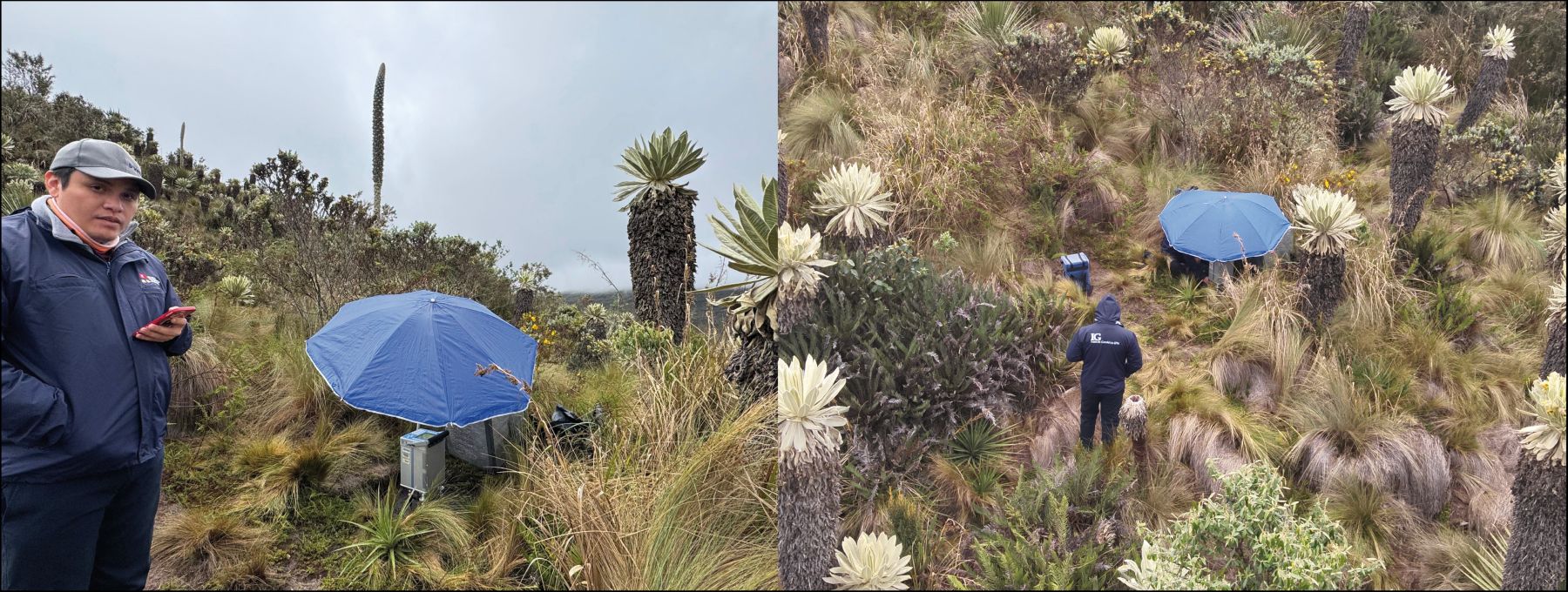 Campaña de mediciones gravimétricas y vigilancia térmica y visual en el Complejo Volcánico Chiles-Cerro Negro