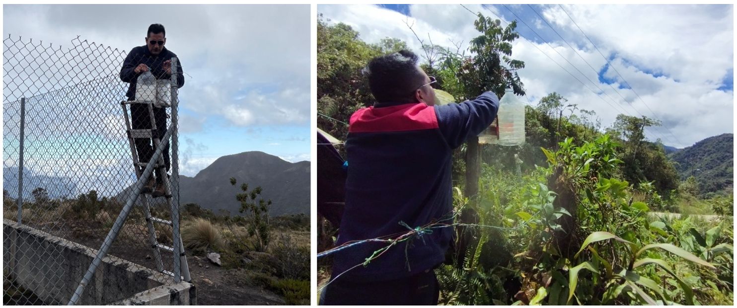 Trabajos de vigilancia en el Complejo Volcánico Chiles - Cerro Negro