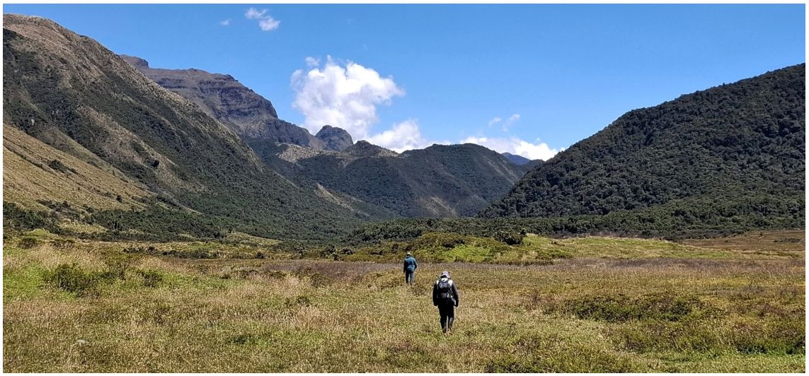 Trabajos geológicos en el marco del Proyecto PIGR-19-12