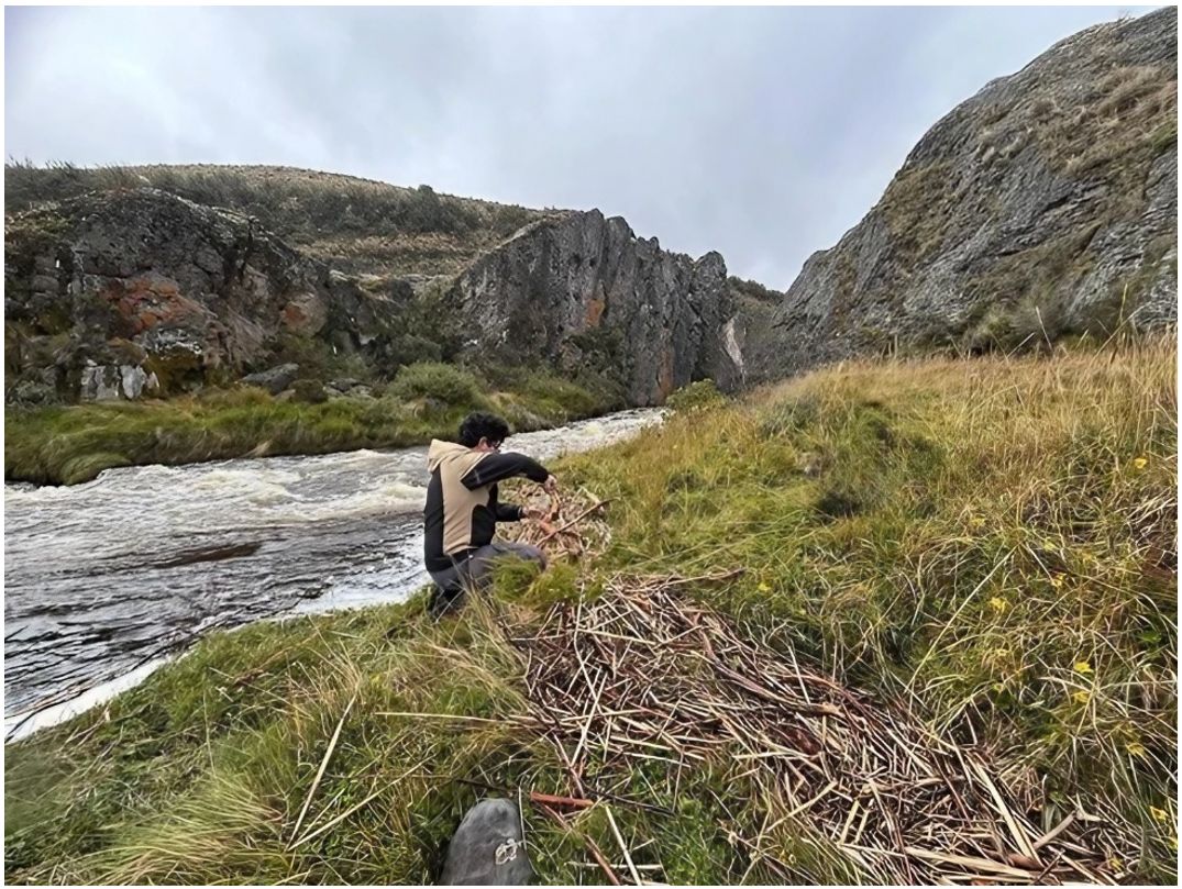 Muestreo de surgentes de Agua en el Volcán Cotopaxi