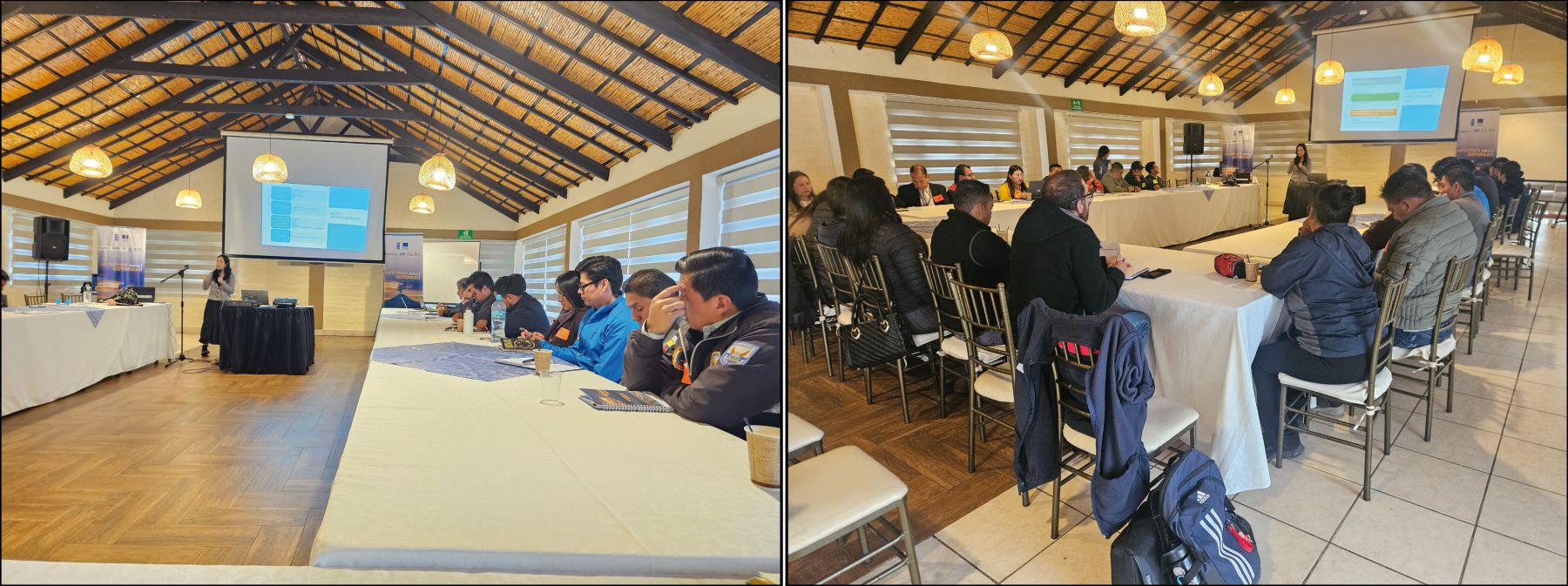 Proceso de validación del Protocolo Institucional De Protección En Contextos De Emergencia y reunión del Comité Directivo Del Proyecto “Anticípate Por El Cotopaxi”