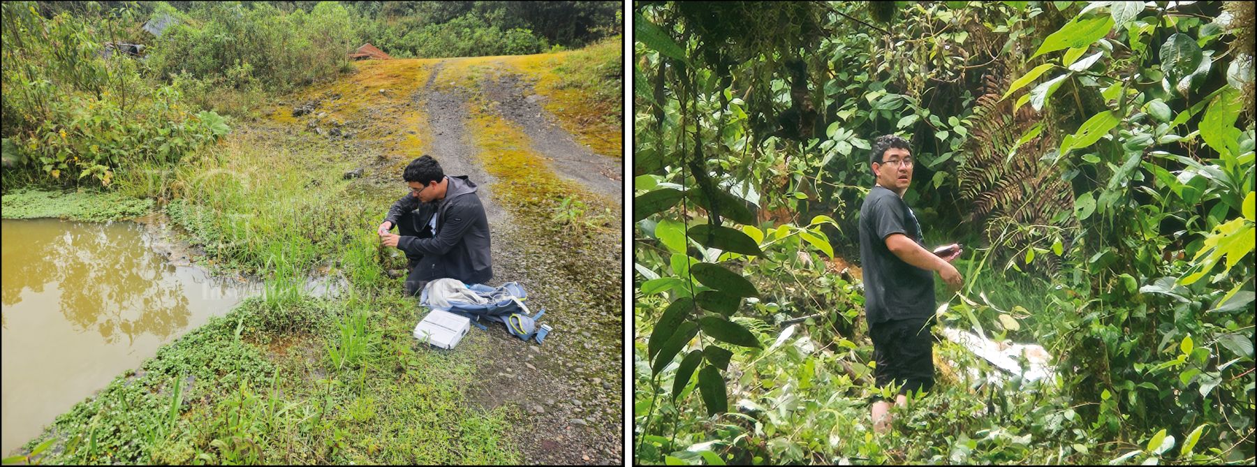 Trabajos de monitoreo interinstitucional en el volcán El Reventador, provincias de Napo y Sucumbíos