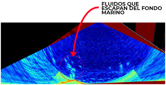 Desmentido sobre la relación de salida de fluidos del fondo oceánico y un futuro fuerte sismo (Magnitud 9+) en la zona de subducción