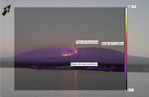 Informe Especial Volcán Fernandina N° 2024-002