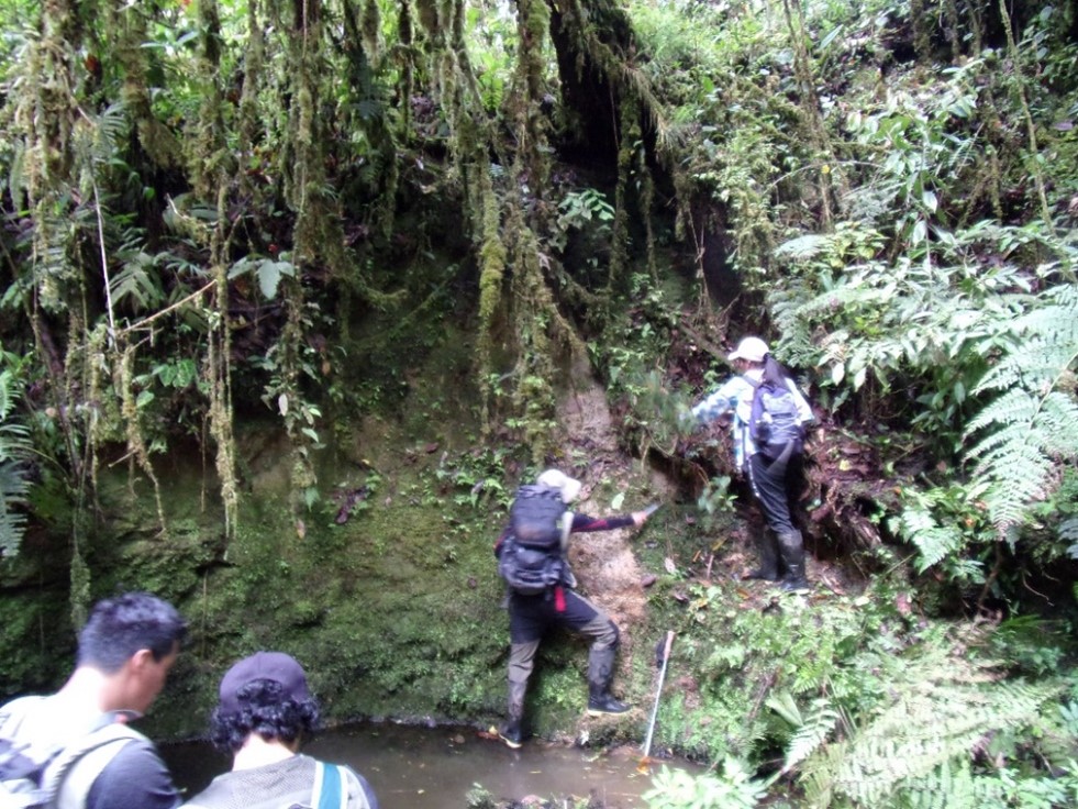 Trabajos vulcanológicos continúan en los flancos del volcán Sumaco