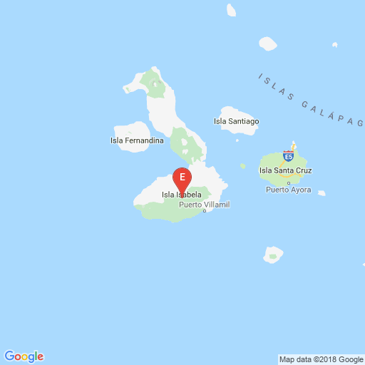 Epicenter map